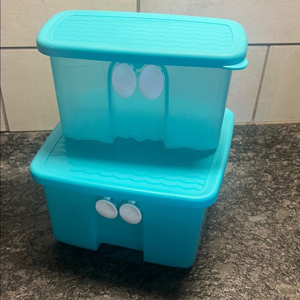 Aqua Storage Bins with Lids